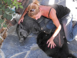 Bullet, Emma and the dog we should have got first.....Bilbo