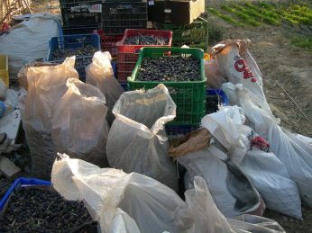 10354833_447089772162339_1064703518696365677_n