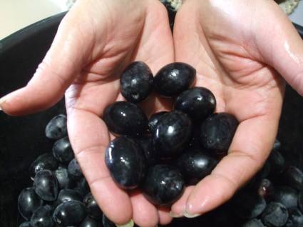 10868282_316589288545722_5674469059180761807_n