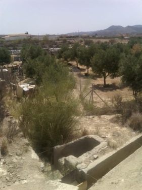 2016 - Fenced and Full of Life